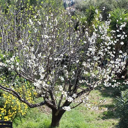 Ferienhaus Rez De Avec Beau Jardin Et Belle Vue Saint-Laurent-du-Var