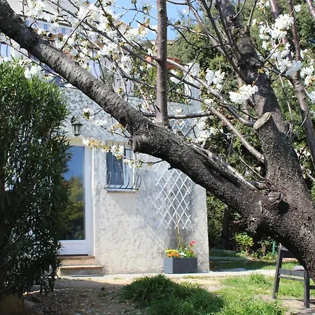 Rez De Avec Beau Jardin Et Belle Vue * Saint-Laurent-du-Var