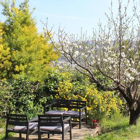 Rez De Avec Beau Jardin Et Belle Vue *