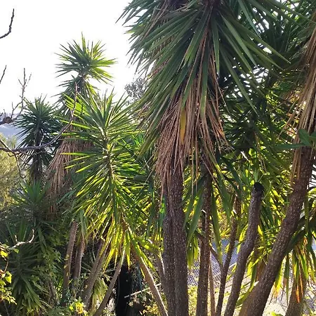 Rez De Avec Beau Jardin Et Belle Vue Ferienhaus *